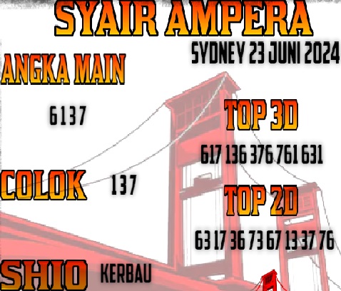 SYAIR SDY VIP